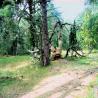 images/Schweden/Schweden 2009/IMG_4478.jpg